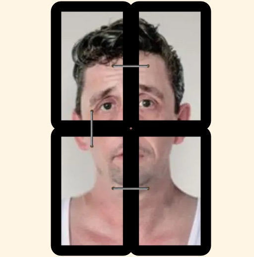 Foto distribuita